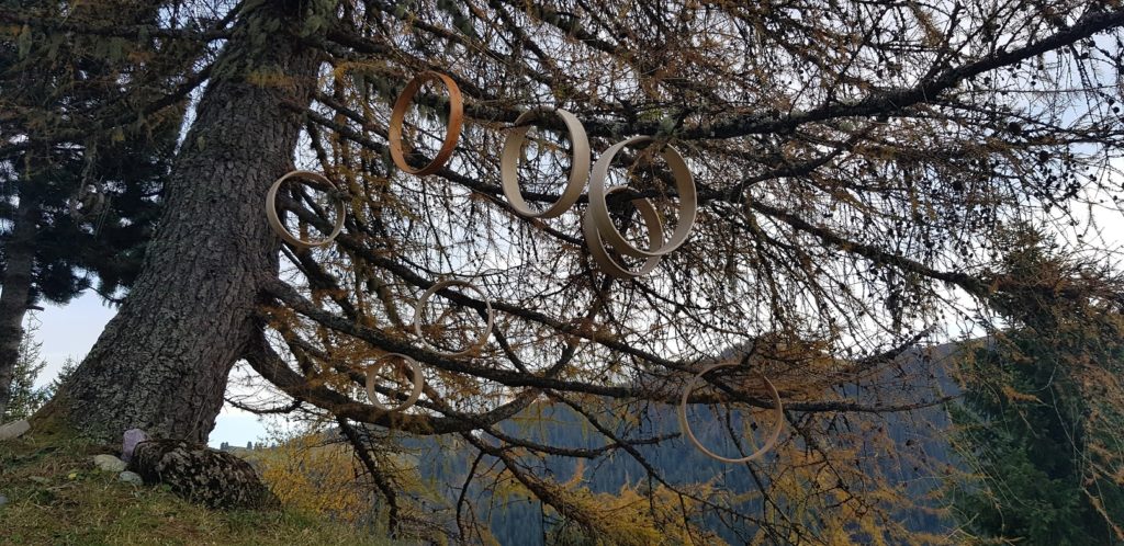 cercles de bois rustiques pour tambours