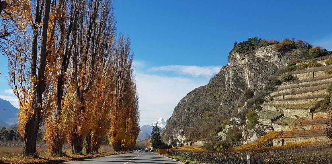 Jeûner avec Joëlle connexion à la nature